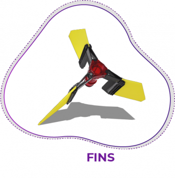 Fins